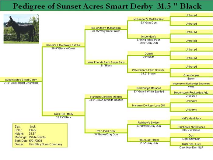 Pedigree for Sunset Acres Smart Derby
