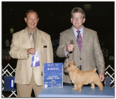 Jerry gets his first points in the Bred-By-Exhibitor Class with Copper